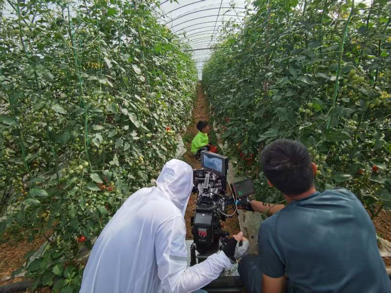 长清区产品宣传视频拍摄公司进阶指南，助力品牌抢占传播高地